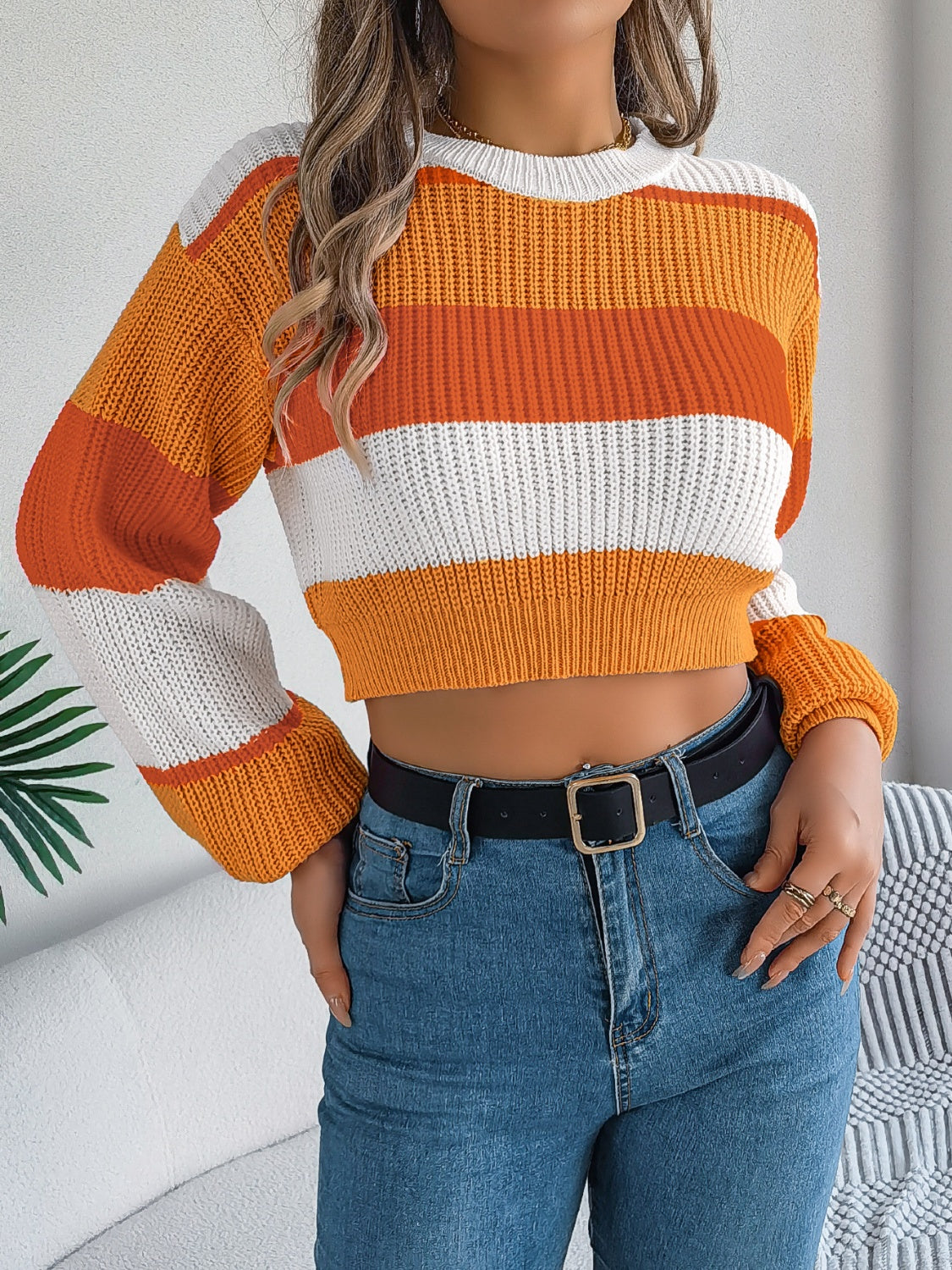 Color Block Round Neck Cropped Sweater | Trendy & Cozy